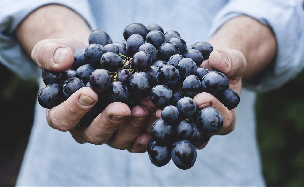 PRAYER TO BE FRUITFUL (APOSTLE EMMANUEL A ADJEI)