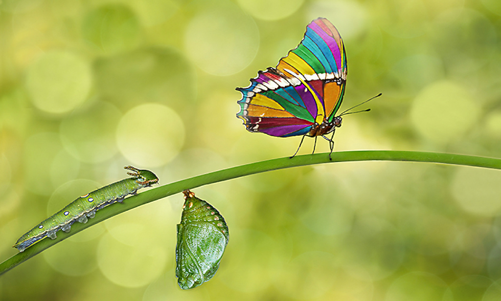 HOW TO BE TRANSFORMED (Apostle Emmanuel A Adjei)