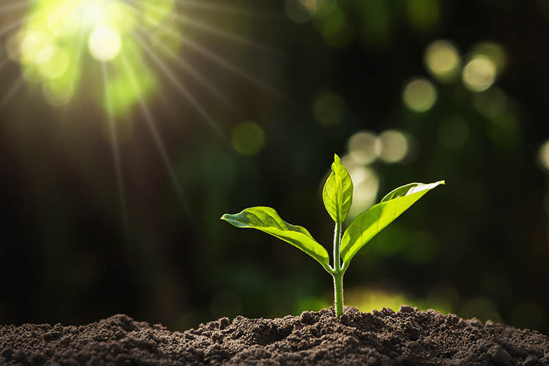 CHRISTIAN MATURITY (Apostle Emmanuel A. Adjei)