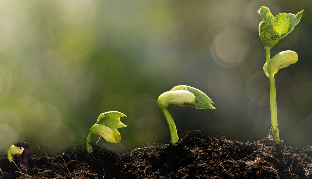 PRAYING FOR SPIRITUAL GROWTH (Pastor Joyce Adjei)