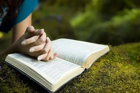 THE WORD 7/ BIBLE STUDIES (APOSTLE EMMANUEL ADJEI)