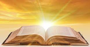 THE OTHER BOOKS
